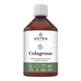 Colagenus, Colagen lichid hidrolizat cu extracte din plante, 500 ml, Faunus Plant