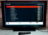 Televizor LED-HD Bush DLED32165HD