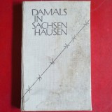 Cumpara ieftin Damals in Sachsenhausen - Ediție colectivă / Documentar (Volum istoric &icirc;n limba germană despre lagărul de concentrare)
