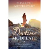 Destine modelate. Cinci femei ale Bibliei in oglinda zilelor noastre - Elisabeth Mittelst&auml;dt