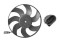Foto  - 1