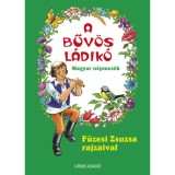 A bűv&ouml;s l&aacute;dik&oacute; - Magyar n&eacute;pmes&eacute;k - F&uuml;zesi Zsuzsa