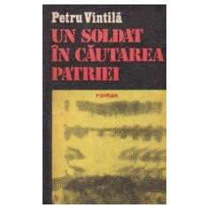 Un soldat in cautarea patriei - roman -