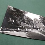 CARTE POSTALA CIRCULATA RADAUTI PARCUL ORASULUI