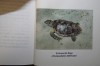 Ghidul colectiilor - Aurel Papadopol (colectie completa)