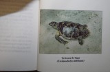 Ghidul colectiilor - Aurel Papadopol (colectie completa)