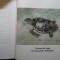 Ghidul colectiilor - Aurel Papadopol (colectie completa)