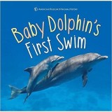 Baby Dolphin&#039;s First Swim