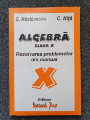 ALGEBRA REZOLVAREA PROBLEMELOR DIN MANUAL X - Nastasescu, Nita foto