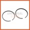Set segmenti bicicleta cu motor - compatibil FLEX TECH 100 - 2