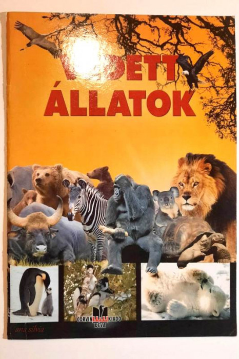 Vedett allatok - carte pentru copii, limba maghiara