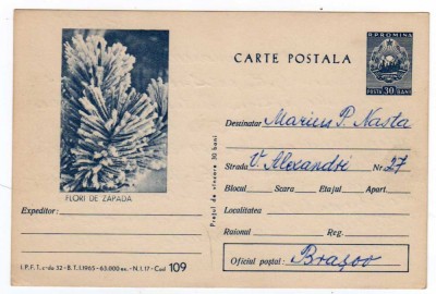 Carte postala FLORI DE ZAPADA CDA 32 /I.1965 TIRAJ 63000 EX MINERALE foto