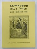 DUMNEZEU UNUL SI INTREIT , CURS DE TEOLOGIA SFINTEI TREIMI de ISIDOR MARTINICA , 2004