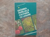 Valentin Voican - Gradina familiala cultivata cu legume, 1982