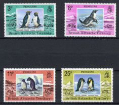 264-BRITISCH ANTARCTIC TERITORY 1979-PESTI-Serie completa de 4 timbre MNH foto
