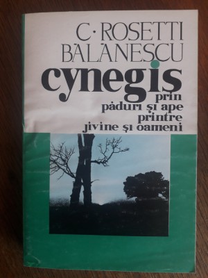 Cynegis - C. Rosetti Balanescu, vanatoare / R2P4F foto