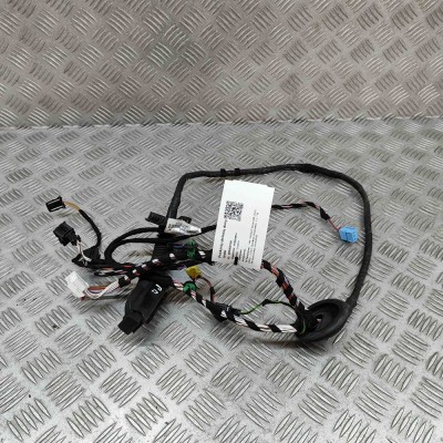 Cablaj ușă dreapta față VW PASSAT Variant B8 3G5 2021 OEM: TAB016297GP 29500120 foto