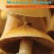 Psilocybin Mushroom Handbook: Easy Indoor &amp; Outdoor Cultivation