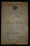 BREVET DE RIDICARE IN GRAD &quot;REGATUL ROMANIEI - MINISTERUL DE RASBOIUL&quot;, FARMACIST SUBLOCOTENENT STAGIAR DL. COCOIU GHEORGHE, 1916