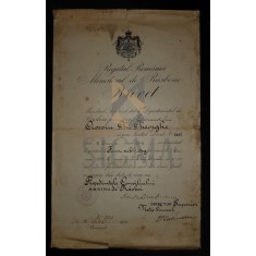 BREVET DE RIDICARE IN GRAD &quot;REGATUL ROMANIEI - MINISTERUL DE RASBOIUL&quot;, FARMACIST SUBLOCOTENENT STAGIAR DL. COCOIU GHEORGHE, 1916