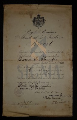 BREVET DE RIDICARE IN GRAD &amp;quot;REGATUL ROMANIEI - MINISTERUL DE RASBOIUL&amp;quot;, FARMACIST SUBLOCOTENENT STAGIAR DL. COCOIU GHEORGHE, 1916 foto