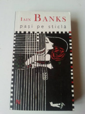 Iain Banks - Pa?i pe Sticla foto