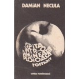 Ispita intr-o dimineata ploioasa