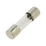 Siguranță cu &icirc;nt&acirc;rziere 125mA 250V sticlă