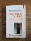 Focul ascuns in piatra - Adrian Cioroianu / R3P1F