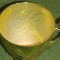 CUPA FAN CURIER LA PESCUIT CRAPUL DE AUR 2015 ( BEST 5 ) LOCUL lll