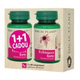 Promo Echinacea Forte Dacia Plant 1+1 cadou 60cpr