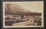 Busteni - Suvenir din Busteni , Valea Alba, Circulata, Printata
