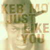 Keb Mo Just Like You (cd), Blues