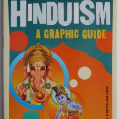 Introducing Hinduism A Graphic Guide