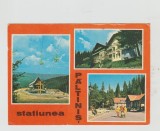 bnk cp Statiunea Paltinis - Vedere - circulata - marca fixa