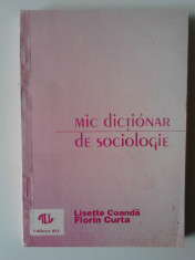 MIC DICTIONAR DE SOCIOLOGIE - LISETTE COANDA, FLORIN CURTA (Ed. ALL) (5+1)r foto