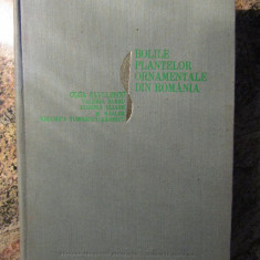 Olga Savulescu - Bolile plantelor ornamentale din Romania