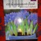 100 de aranjamente florale pentru terase si balcoane / 134 pagini