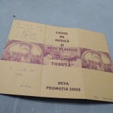 Cumpara ieftin INVITATIE LICEUL DE MUZICA SI ARTE PLASTICE SIGISMUND TODUTA PROMOTIA 2003 DEVA