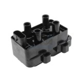 Meat &amp;amp; Doria bobina de inductie