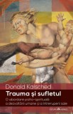 Trauma si sufletul - Donald Kalsched