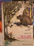 Ionel Pop-De la urs la pantarus