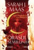 Orasul semilunii.Casa pamantului si a sangelui, Sarah J. Maas, Litera