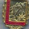 AX 205 INSIGNA-TURISM MONTAN-FLOARE DE COLT SI MUNTI-DEM BERGWANDERER MITTENWALD