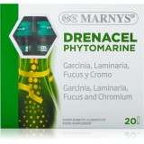 Marnys Drenacel Phytomarine supliment alimentar cu efect antioxidant 20 buc