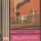 Singuratatea calului troian - roman