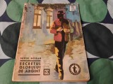 Secretul globului de argint
