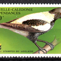 NOUA CALEDONIE 1986, Fauna, Pasari, serie neuzată, MNH