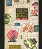 EINE TANNE IS KEIN HORNISSENNEST - HEDI HAUSER - ION CREANGĂ VERLAG