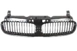 Grila radiator Bmw Seria 7 E65/E66, 09.2001-12.2004, interior, 51137037727, 202305